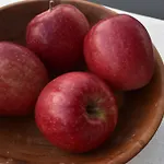 Gut Wendlandt مزرعة للإقامة