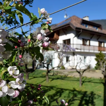 Gut Wendlandt Séjour à la ferme Bozen