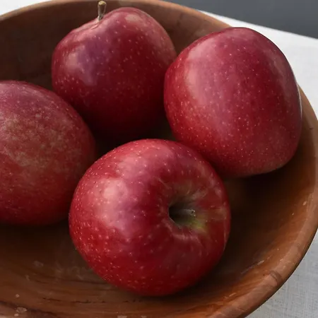 Gut Wendlandt Alloggio per agriturismo Bolzano