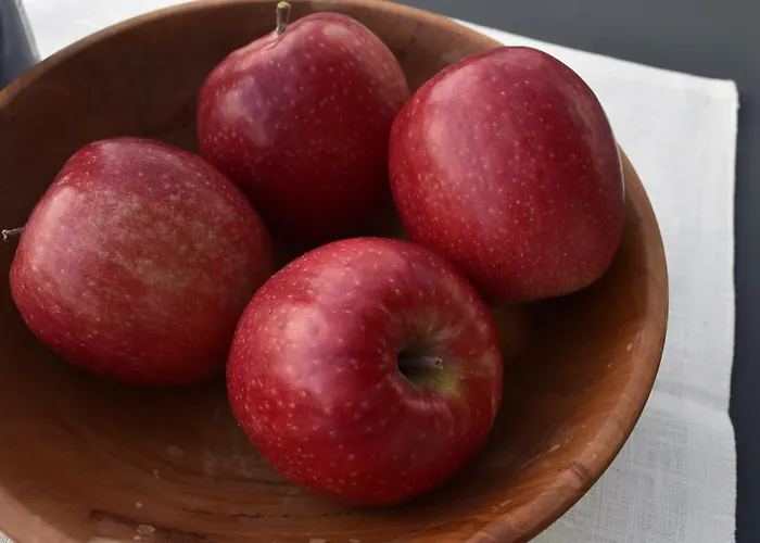 Gut Wendlandt Farm stay