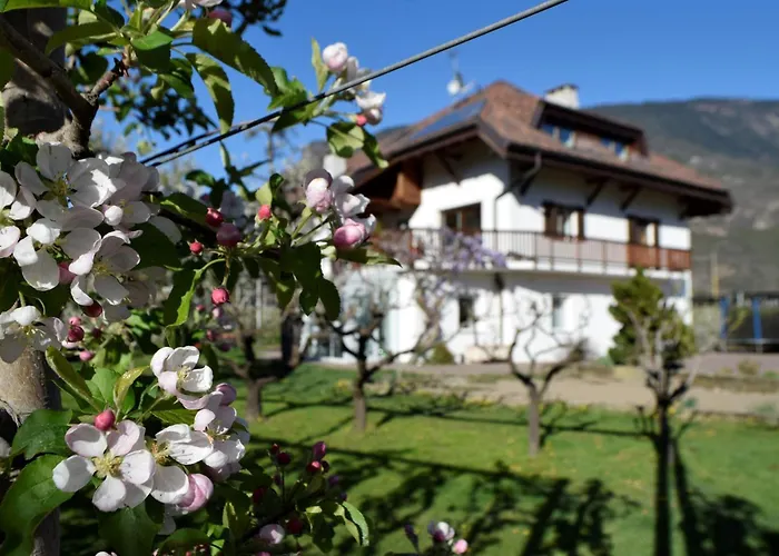Gut Wendlandt Farm stay Bolzano